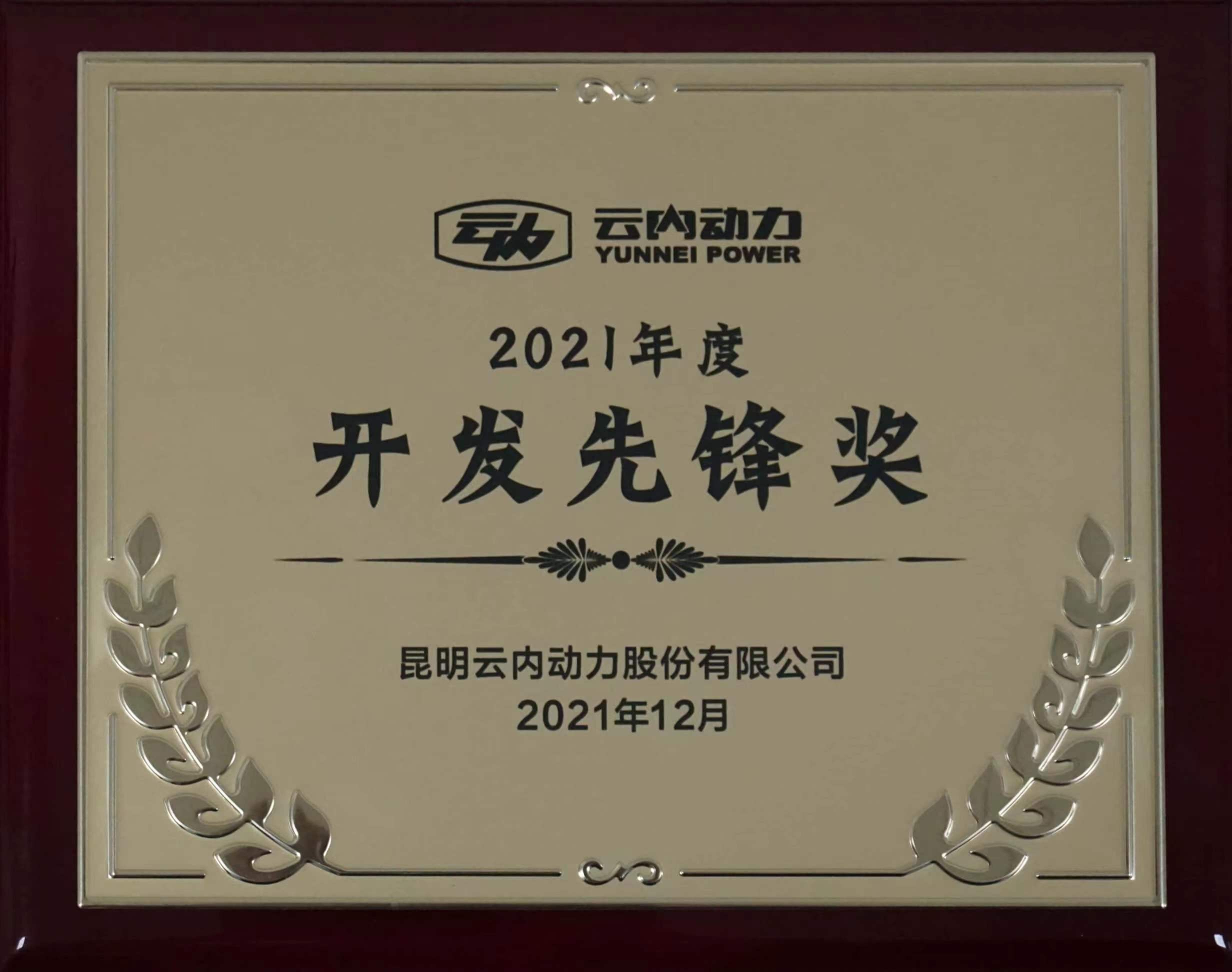 Development Pioneer Award of 2021 from Yunnei Power